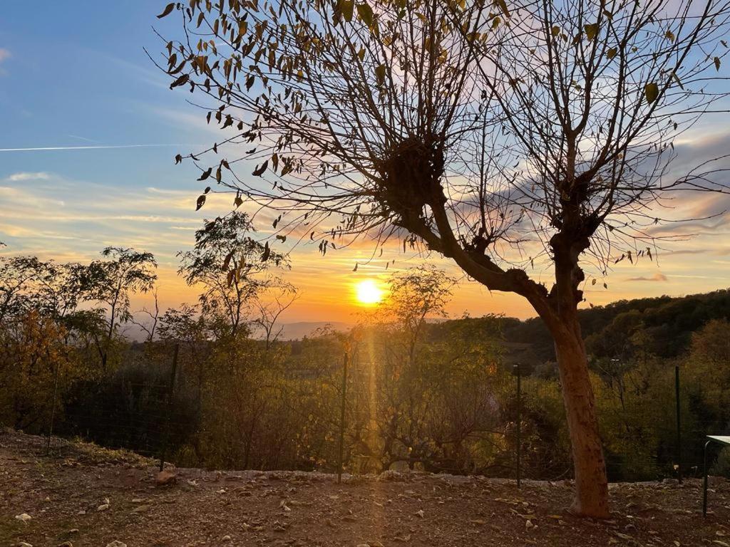 Al Colle Rooms Montebello Vicentino Bagian luar foto